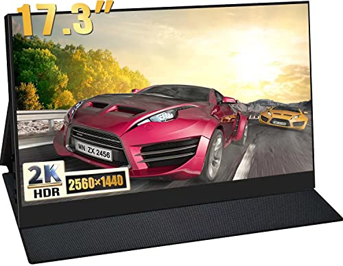 Amazon.co.jp: モバイルモニター 17.3インチ2K 2560*1600 青光源