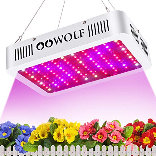 Los Leds cultivo interior más baratos