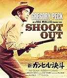 �V�E�K���q���̌��l