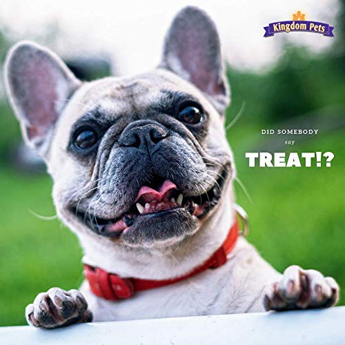 Kingdom Pets Filler Free Chicken Jerky & Sweet Potato Twists, Premium Treats for Dogs, 48-Ounce Bag - Image 5