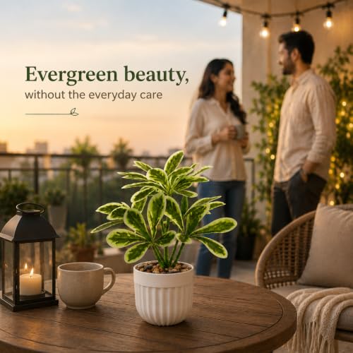 Image of CURATED CART Artificial Plant with Pot for Living Room, Home Decor, Office Tabletop & Indoor Decor, Fake Small Plant, Green Leaves Potted Plant, 24cm, Pack of 1