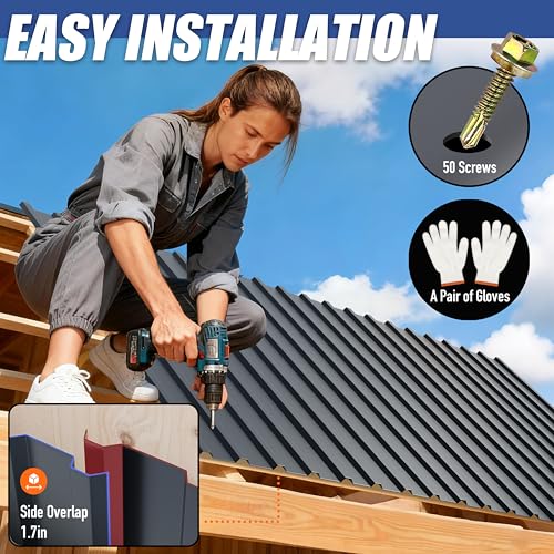 image for Brakki Metal Roofing Panels 10pcs 52.4 ft², L42.52