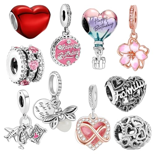 10 Pack Silver Charms for Pandora Bracelets and Necklaces Charms for Women CZ Pendant Jewelry Charm Set