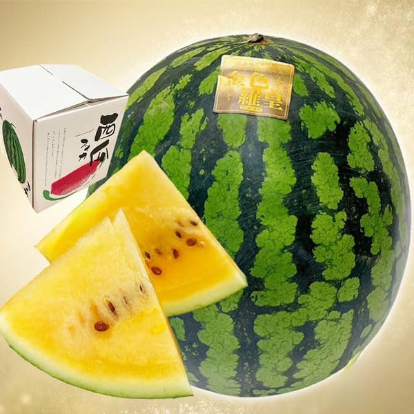 じゅんくん、さん専用金色羅皇 西瓜 スイカ 信州 長野県産12.3キロ Amazon | TVで紹介！ スイカ 西瓜 金色羅皇 信州 こんじきらおう 1玉