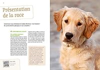 Bien vivre avec mon Golden Retriever - Education, comportement, soins 2379220085 Book Cover