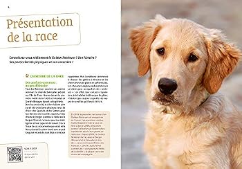 Hardcover Bien vivre avec mon Golden Retriever - Education, comportement, soins [French] Book