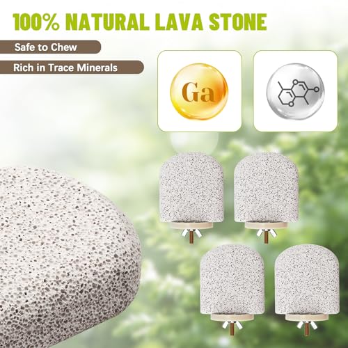 Image of 4 Pcs Lava Ledge Bird Perch Platform Set for Cages | Fits Small /Medium Parrots (Budgies, Conures) | Volcanic Calcium Stone for Beak Grinding & Claw Trimming | Tool-Free Mount