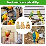 Zoom IMG-2 bird diaper parrot nappy clothes Zoom IMG-2 bird diaper parrot nappy clothes