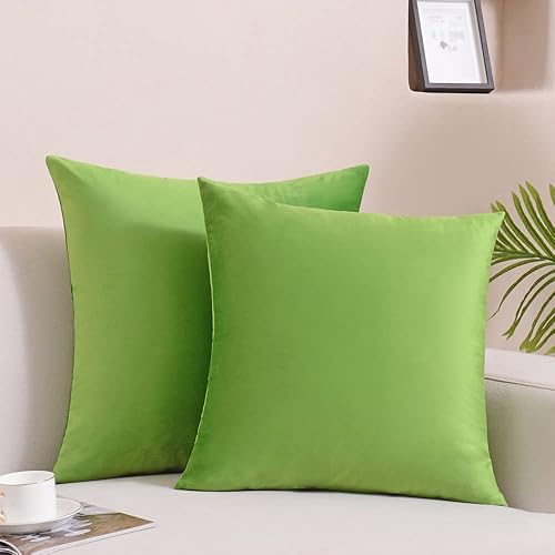 Krifey Juego de 2 fundas de almohada cuadradas decorativas de terciopelo para sofá, dormitorio, 18 x 18 pulgadas, color verde manzana, paquete de 2