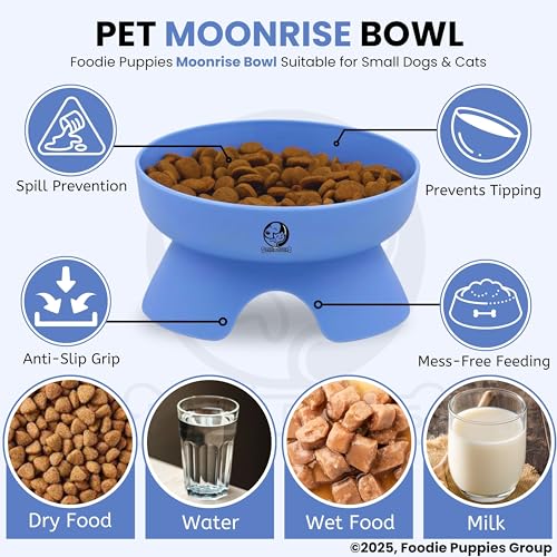 Image of Foodie Puppies Cat Food and Water Raised Feeder - 300ml (Moonrise Bowl) | Durable, Anti Vomiting, Healthy Cat Bowl for Persian Cats Prevent Tipping Over | Elevated Feeder for Cats and Small Dogs