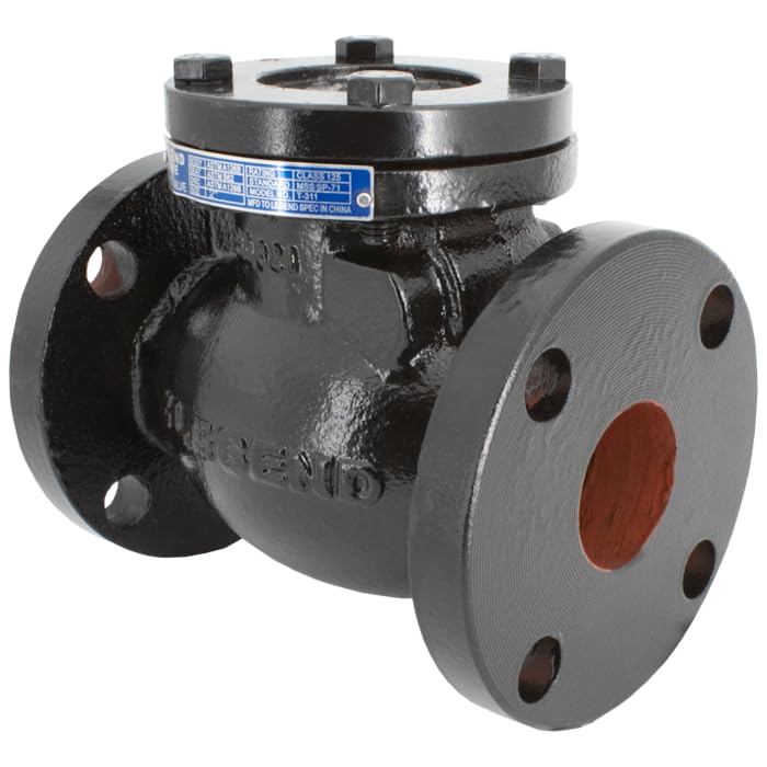Clapet anti-retour en fonte 5,1 cm Legend Valve T-311 plomberie