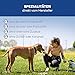 Tiernahrung Schwenner Rinderdörrfleisch für Hunde - 8-12 cm leckere Kaustangen - Hundeleckerli aus Trockenfleisch - 1000g Hundesnack