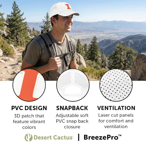 Desert Cactus Illinois Snapback Hat miniatura 3