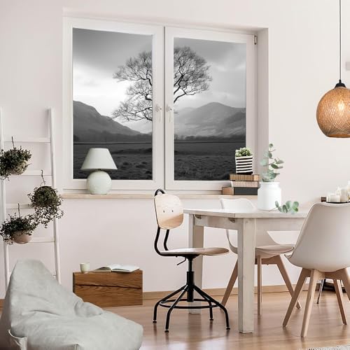 Película adhesiva minimalista para ventana 17.7x23.6 pulgadas 2 pzas miniatura 5