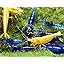 5 Blue 5 Yellow