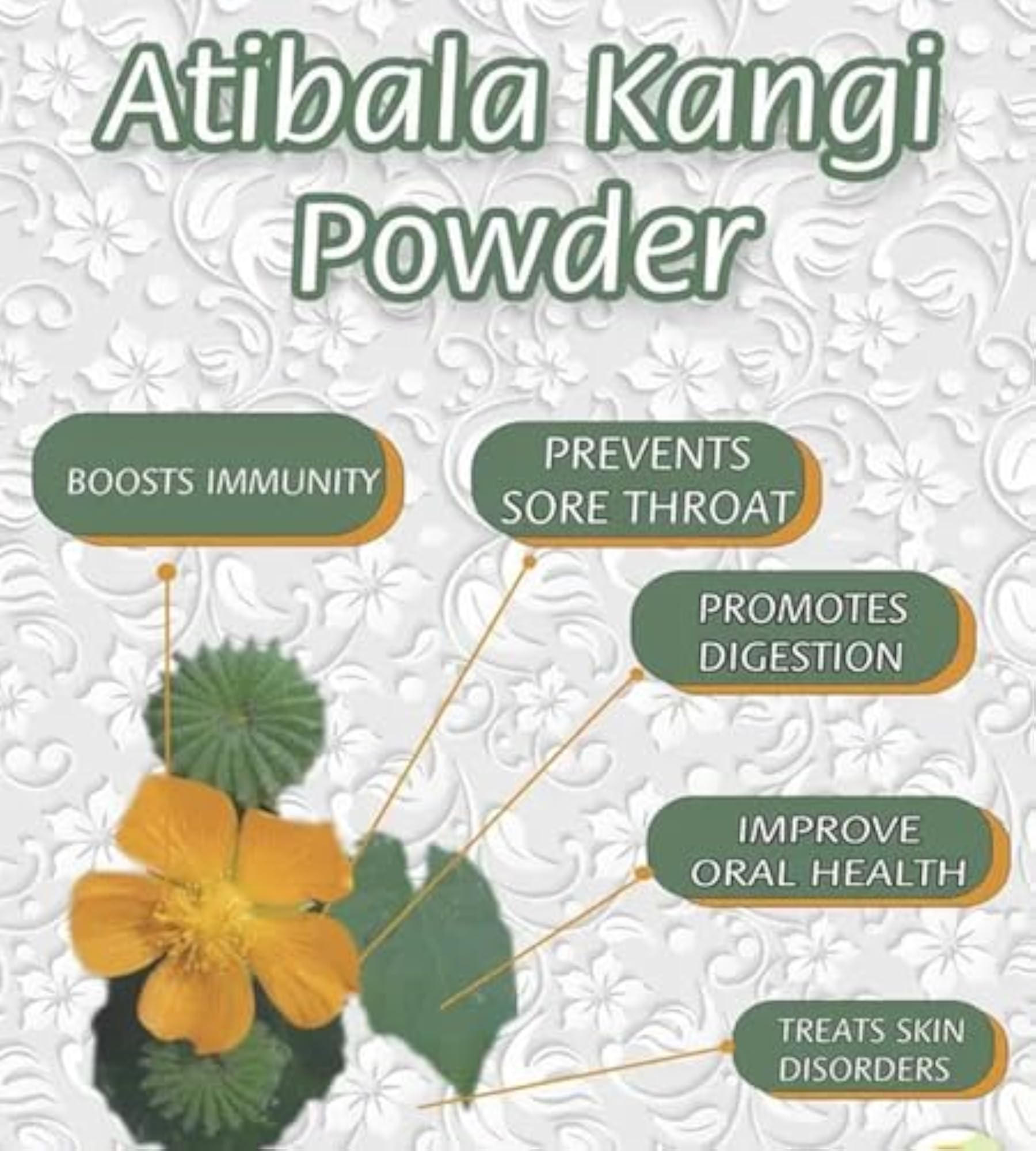Saara HERBAL FRESH Thuthi Leaf Powder for Health