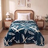 BSB HOME Single Bed Mink Blanket, Velvet Like Soft Plush Fleece Blanket, Warm