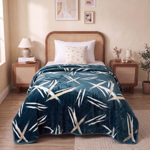 Image of BSB HOME Single Bed Mink Blanket, Velvet Like Soft Plush Fleece Blanket, Warm Lightweight AC Blanket for Winter, Ultra Soft Cozy Bed Blanket for Home & Travel,56 x 80 Inches(142 x 203 cm) - Ocean Blue