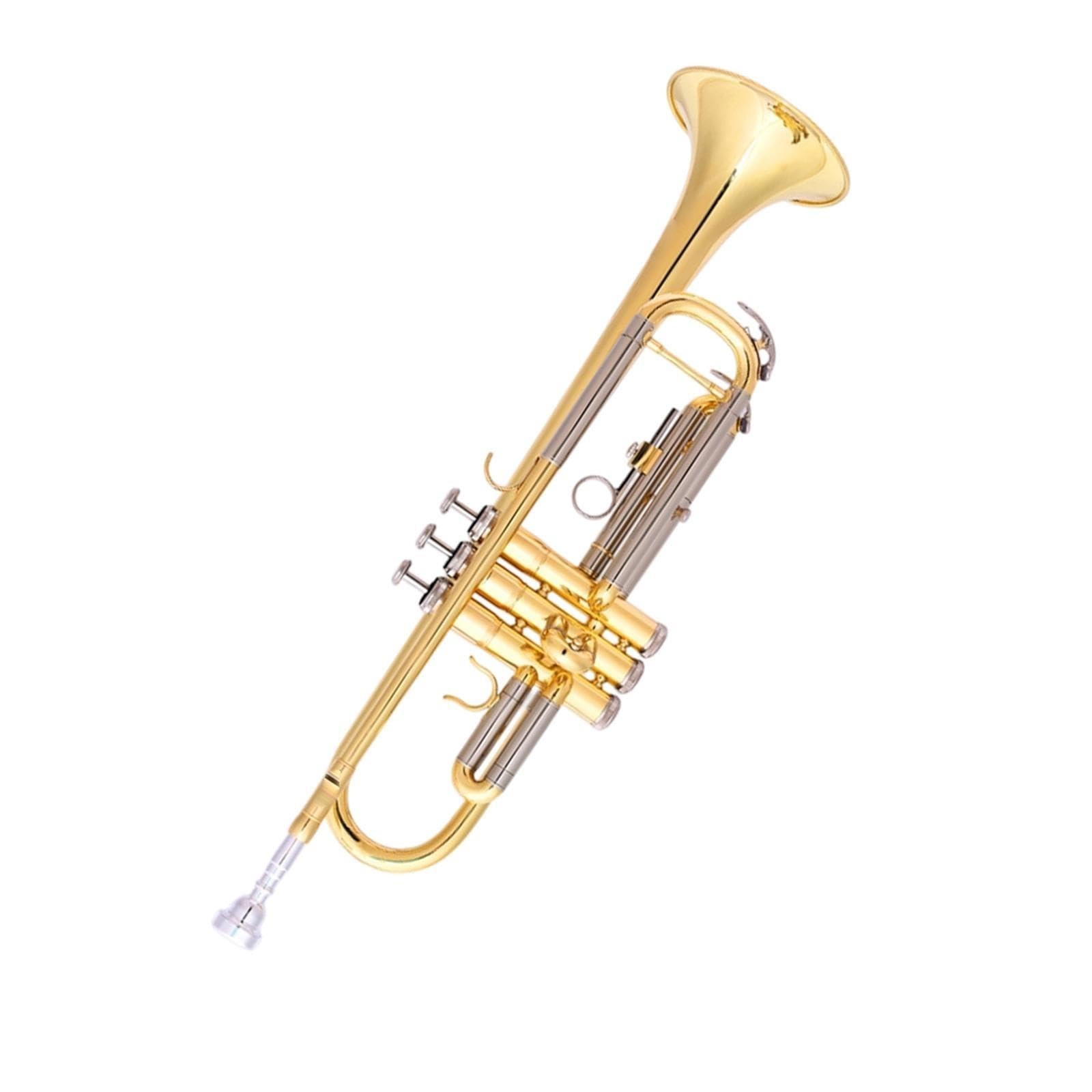 Professional Trumpet Trompeta en Sib para principiantes