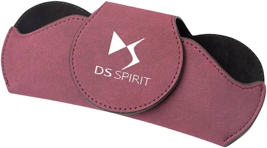 Car Sunglasses Multi-Function Storage Box for DS SPIRIT DS4S DS5 5LS DS3 DS4 DS6 DS7 DS9 WILD RUBIS,Grey Style