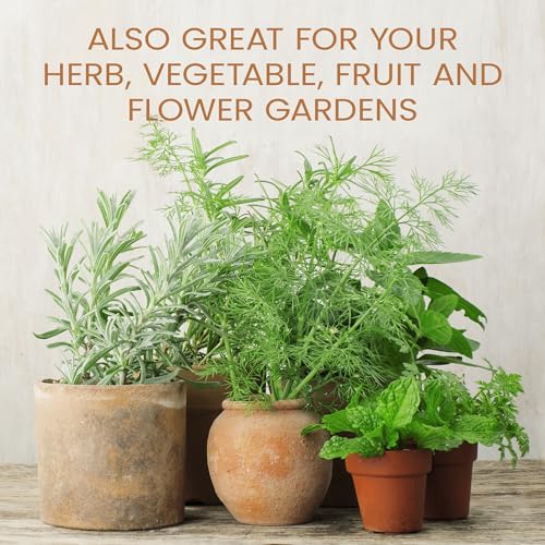 Purived-16oz-All-Purpose-Liquid-Plant-Fertilizer-Makes-50-Gallons-for-Indoor-Houseplants-All-Natural-Groundwater-Safe-Made-in-USA