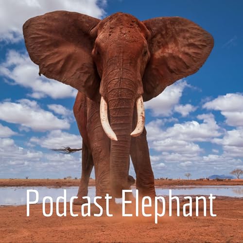 Podcast Elephant cover art