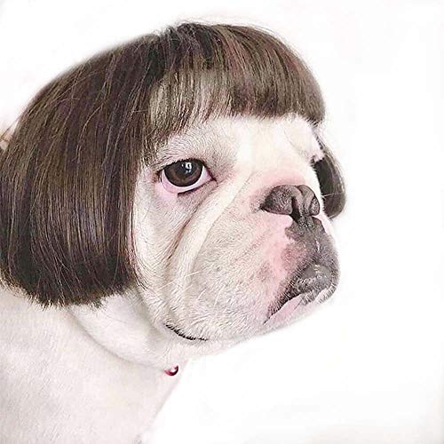Oukey Wig for Dog, Dog Headwear, Pet Costumes, Cat Costumes for Halloween Christmas Eve Festival Party Cosplay Decoration, Head Wear Apparel Toy Oukey Wig for Dog, Dog Headwear, Pet Costumes, Cat Costumes for Halloween Christmas Eve Festival Party Cosplay Decoration, Head Wear Apparel Toy
