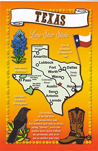 STATES1TEX - TEXAS POSTCARD, LONE STAR STATE - State Flower: Bluebonnet; Statehood: Dec 29, 1845; Statebird:Mockingbird - A U.S. State POSTCARD .. from HibiscusExpress