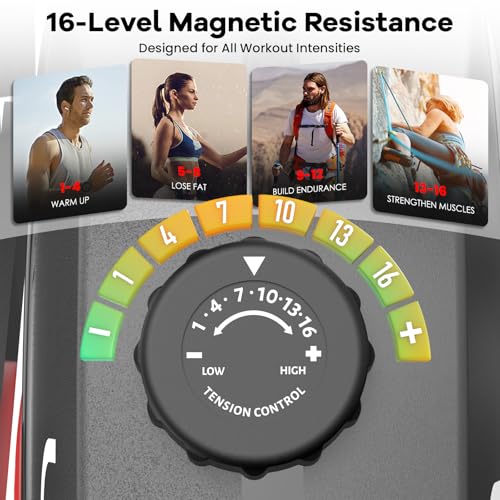 Recumbent Bike with High Back Support