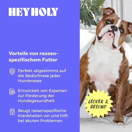 HEY HOLY Premium Nassfutter für Bulldoggen | 6X 375g Hundefutter für ausgewachsene Bulldoggen mit Lachs | Hochverträglich aus natürlichen Zutaten