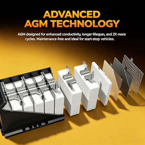 Daakmax Platinum AGM Group 24F Battery