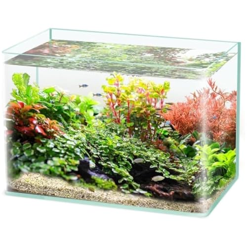 Holowa ANAE XNGAANAE KXe ^  KXr  IuWF   }ʎ cƏ (45*30*30cm)