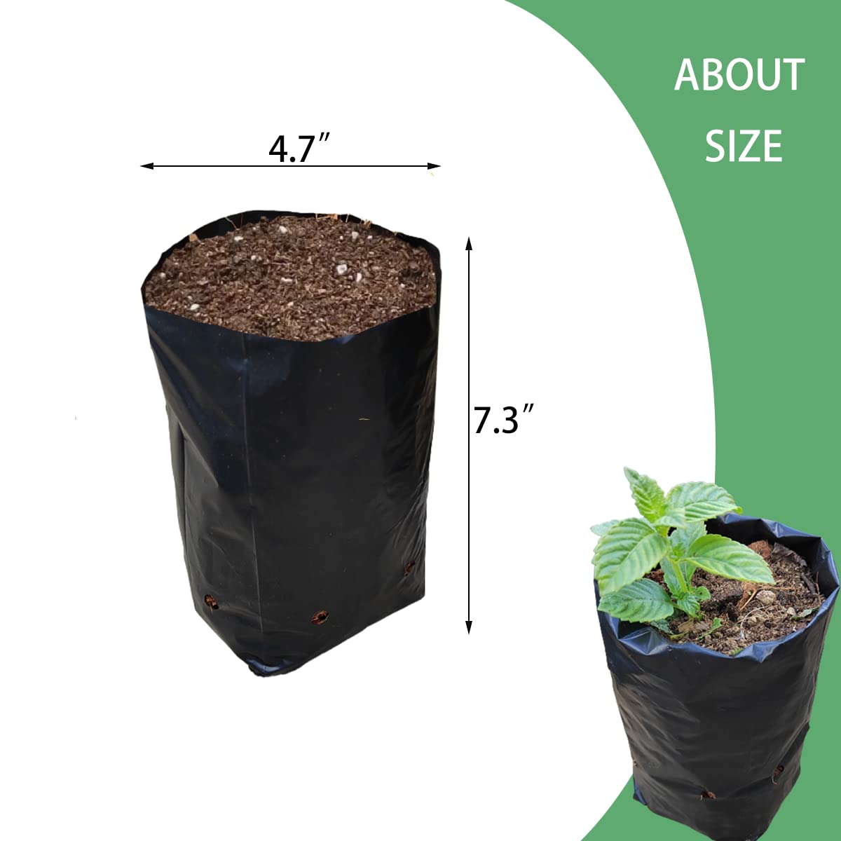 Belit 100 szt. worków na rośliny, plastikowe doniczki na sadzonki, pojemnik na drzewo owocowe, kwiaty, sadzonki początkowe, wzrost roślin (12,9 cm x 18,5 cm)