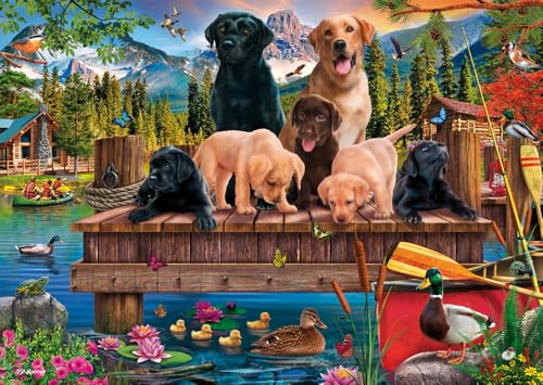 Schmidt Spiele 59778-Puzzle da 1000 Pezzi, Motivo: Famiglia di Cani sul Lago, Multicolore