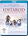 Produktbild Iditarod - Alaskas legendäres Rennen [Blu-ray]