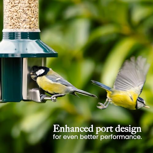 Mangeoire oiseaux Roamwild PestOff robuste et durable pour jardin - 6