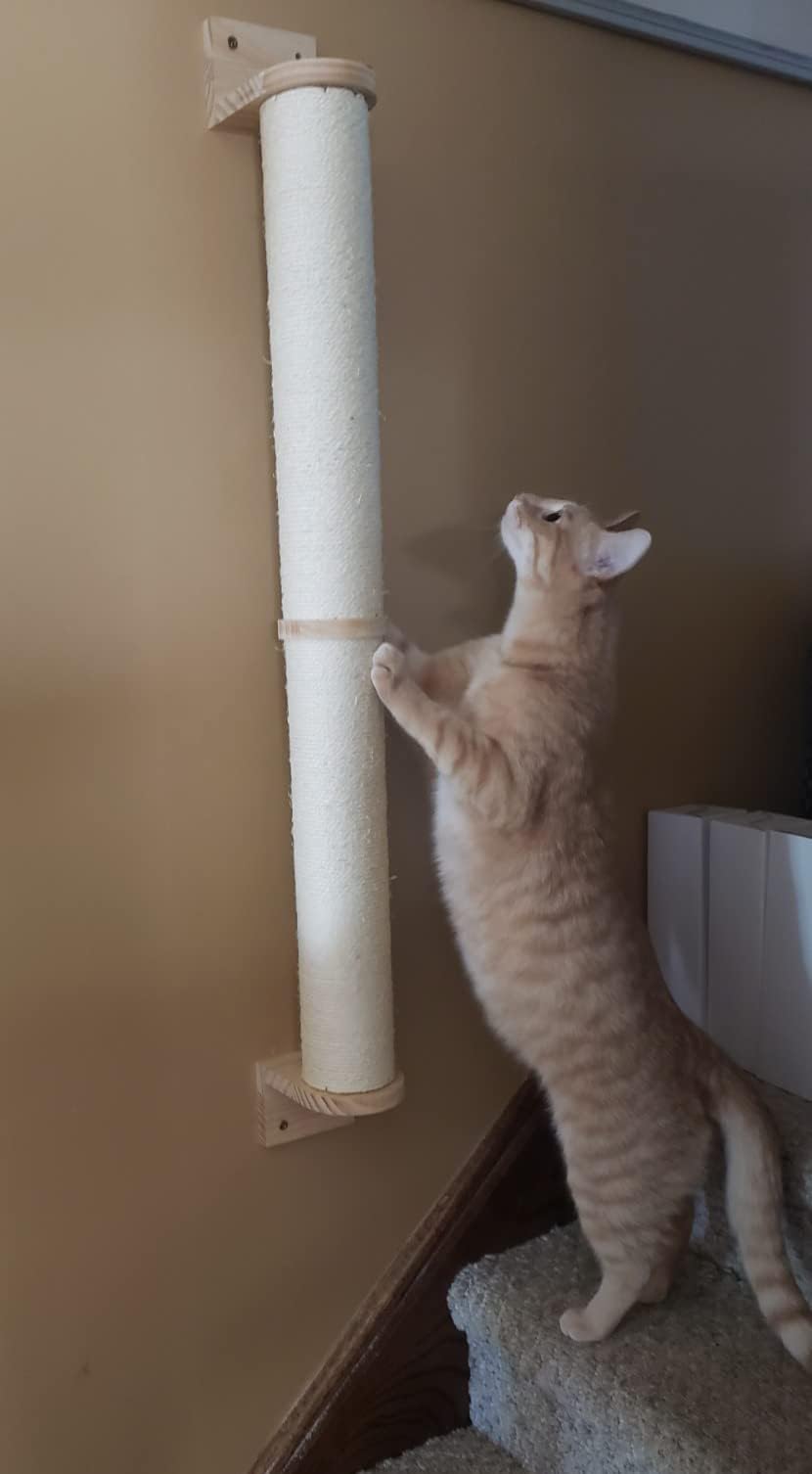 MIAOGE Wandgemonteerde kattenkrabber, kattenmuur krabpalen en kattenplanken, muur kattenboom voor binnenkatten, krabpalen voor kattenwandmeubels (Sisal Rope_7