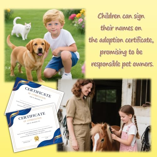 Image of Certificate of Appreciation -25pcs, Certificates of Recognition-A32