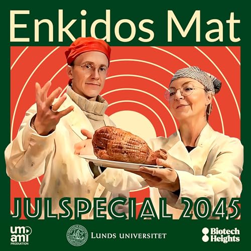 Enkidos mat - Julspecial 2045