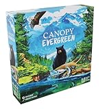 Weird City Games Canopy Evergreen - Strategy Board Game - for 1 to 4 Players and Ages 10+