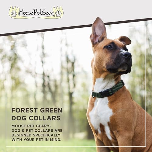 Image of Dog Collar - Colored Adjustable Pet Collars, 3 /4 Inch Wide, Medium, Forest Green