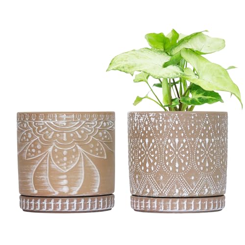 YFFSRJDJ 6 Inch Indoor Plant Pots