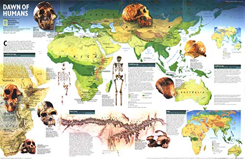 National Geographic: Dawn of Humans World Wall Map - 31.25 x 20.25 inches - Laminated