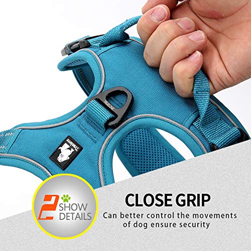 Juxzh Soft Front Dog Harness .Best Reflective No Pull Harness With Handle And 2 Leash Attachments #TOP6