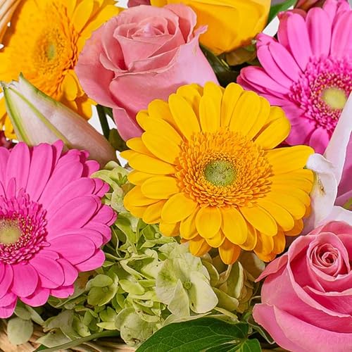 04.19.26 - Sermon - April Showers... May Flowers - Hebrews 12:11-13; 26-29