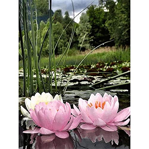 Kit diamant peinture complète lac fleurs roses grand format 70x90cm