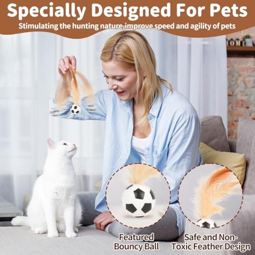 Image of Cat Ball, 6PCS Bouncy Ball with Feather for Indoor Cats, Interactive Kitten Toys for Kitten, Small Dog Toy Balls, Pet Toys with Basketball, Baseball, Badminton Designs