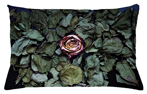 ABAKUHAUS Vintage Rose Federa Fodera Cuscino, Fiore della Rosa Foglie secche, Copricuscino Quadrato Decorativo, 65 cm x 40 cm, Baby Pink Verde Salvia