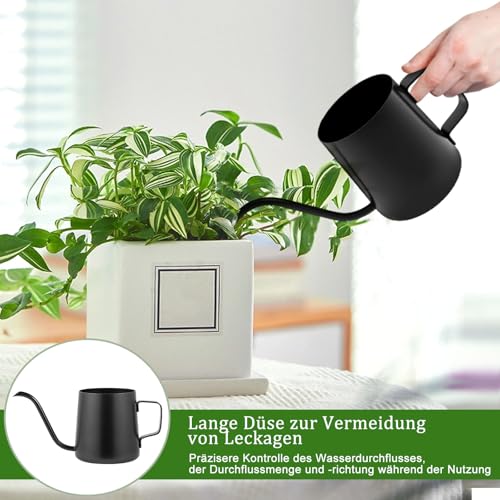 Schwarz Gießkanne Klein Zimmerpflanzen, 250ml Giesskanne Zimmerpflanzen, Mini Gießkanne, Edelstahl Langer Auslauf Giesskanne, Gartengießkanne für Haus Pflanze Bonsai Outdoor Garten Blumen