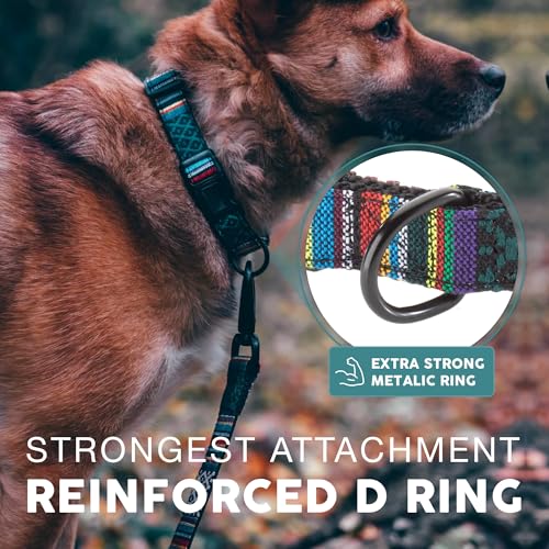 Collier pour chiens robuste et réglable Embark Urban Mayas Petits - 7